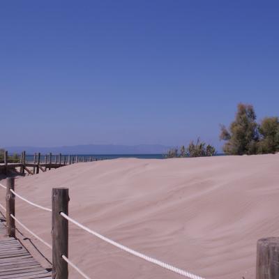 Playa De Ruimar 20110524 1915603519